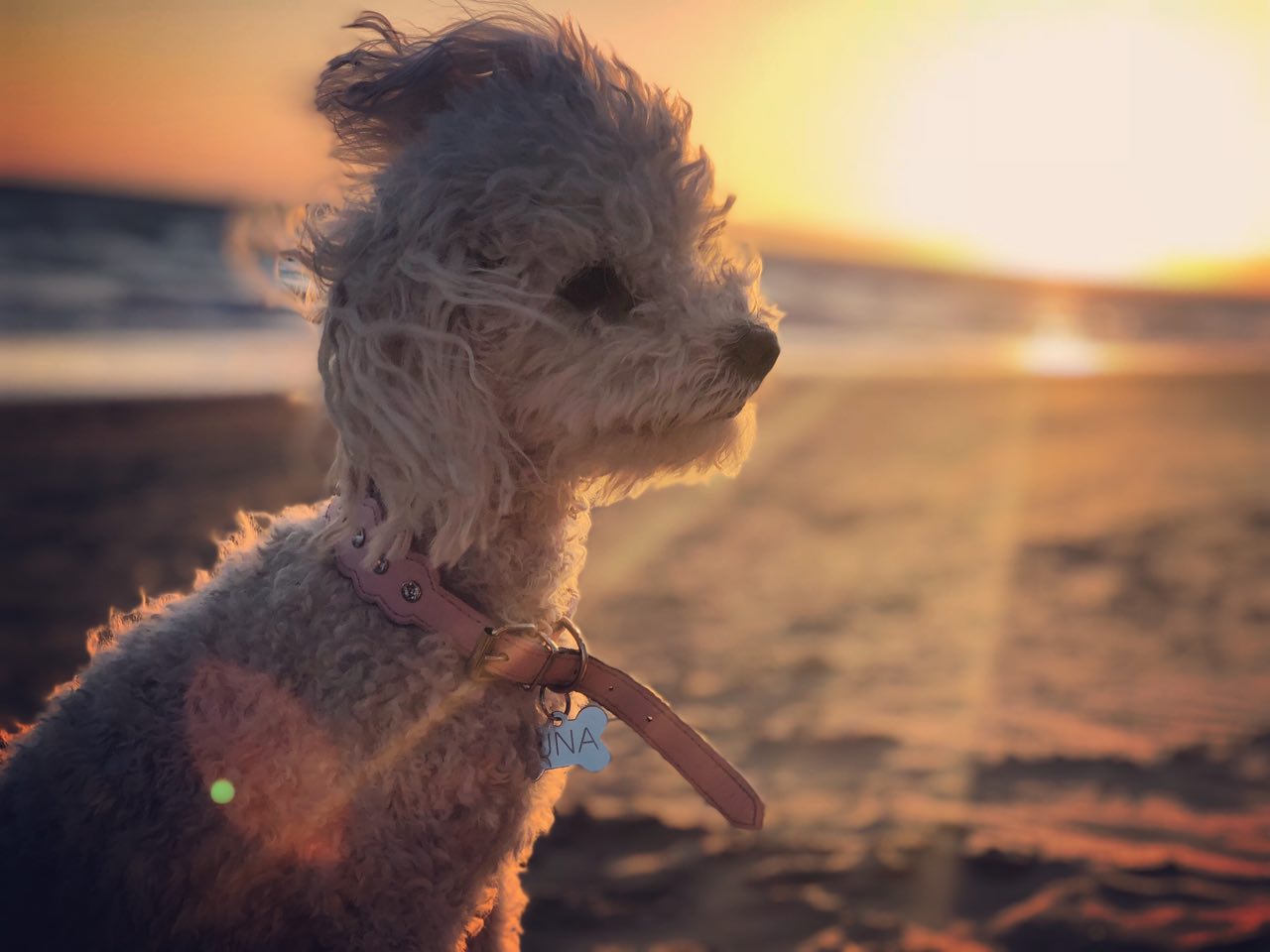 Luna En La Playa