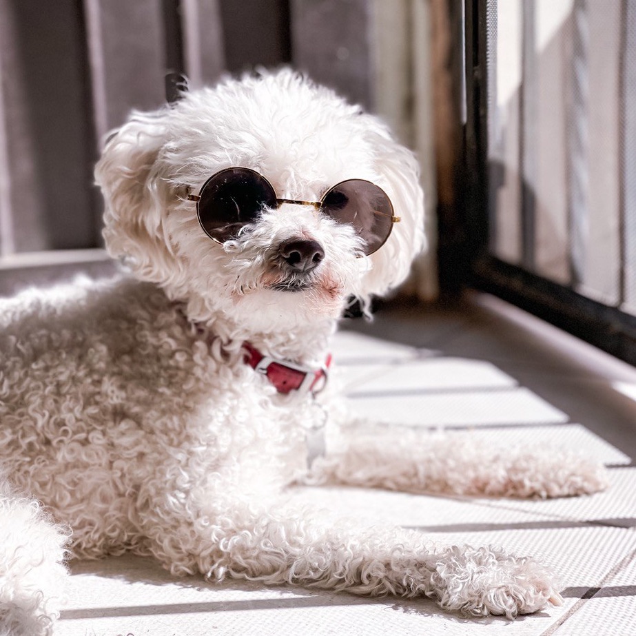 Luna mamalona con lentes